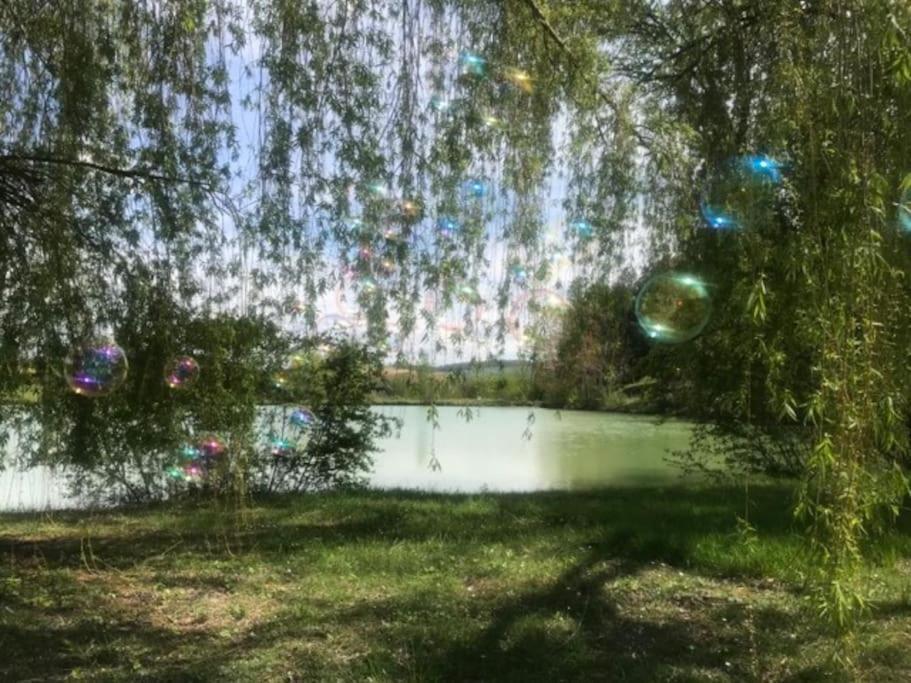 Chalet Au Milieu De La Foret Avec Lac A Proximite Layrac Екстериор снимка